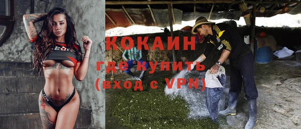 прущий лед Пересвет
