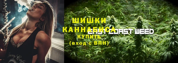 прущий лед Пересвет
