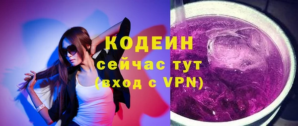 прущий лед Пересвет