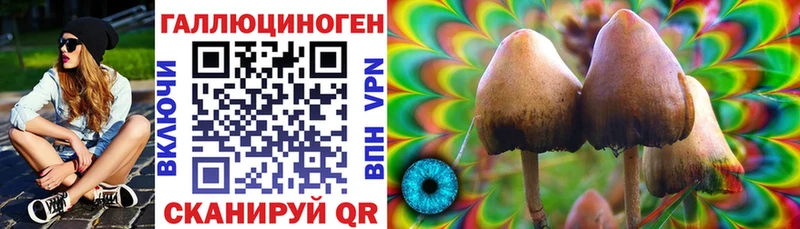 Галлюциногенные грибы Cubensis  Бавлы 